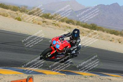 media/Feb-04-2023-SoCal Trackdays (Sat) [[8a776bf2c3]]/Turn 6 Inside (1025am)/